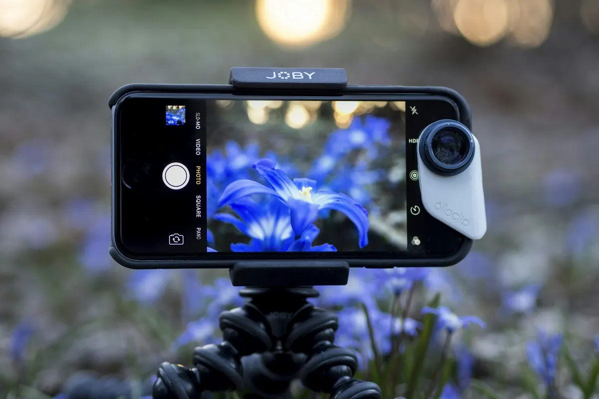 Móvil en un trípode grabando unas flores